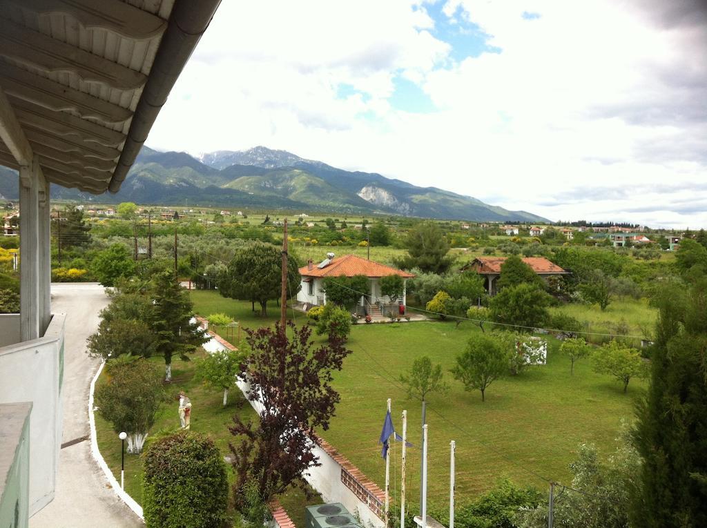 Great Alexander Hotel Plaka Litochorou Ruang foto